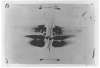 Image of Untitled