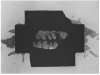 Image of Untitled