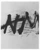 Image of Untitled