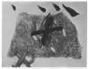 Image of Untitled