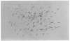 Image of Untitled