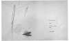 Image of Untitled