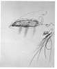 Image of Untitled