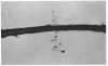 Image of Untitled