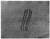 Image of Quatre rius de sang