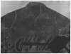 Image of Camisa