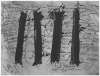 Image of Untitled