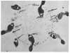 Image of Untitled