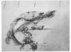 Image of Untitled