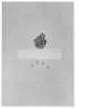 Image of Relief et papier journal