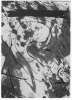 Image of Untitled