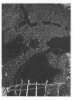 Image of Untitled
