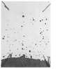 Image of Untitled