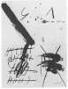 Image of Graffiti noirs