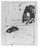 Image of Untitled