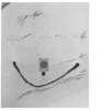 Image of Untitled