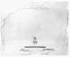 Image of Untitled