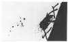 Image of Untitled