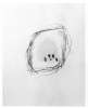 Image of Untitled
