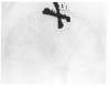 Image of Untitled