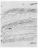 Image of Untitled