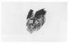 Image of Untitled