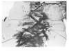 Image of Untitled