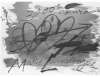 Image of Untitled