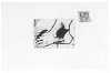 Image of Pied et collage