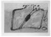 Image of Le bocal