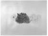 Image of Untitled