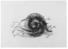 Image of Untitled