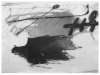 Image of Rames
