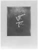 Image of Untitled