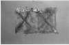 Image of Untitled