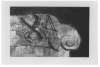 Image of Sofa