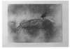 Image of Petjada i signatures