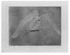 Image of M et flèches