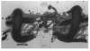 Image of Untitled