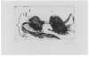 Image of Untitled