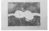 Image of Untitled