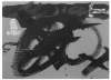 Image of Untitled