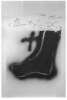 Image of Pied marron