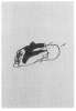 Image of Untitled