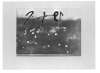 Image of Untitled