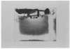 Image of Panier