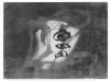 Image of Variations sur un thème musical 7