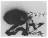 Image of Untitled