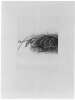 Image of Untitled