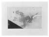 Image of Untitled